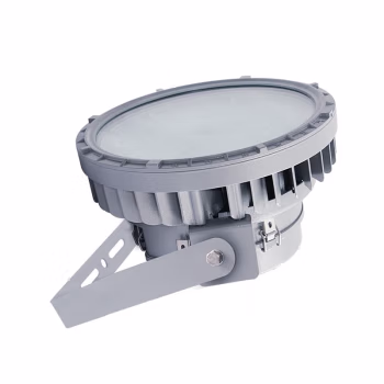 华荣 RLEEXL5016-XL300 照明功率300W、防护等级IP65、防爆等级IIC、电压
等级220V、光源颜色/色温5500K左右、光源类型LED 防爆固态照明灯 1.00 盏/套 (计价单位：套) 灰色