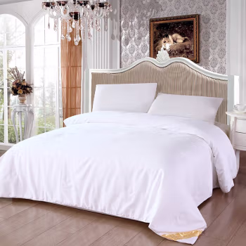 伊伊爱 BZBQS02000218 柞蚕丝 被子 (计价单位：件) 白色