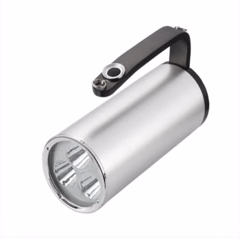 炽翼 CHY-D02 9W/12W IP65 多功能 探照灯 (计价单位：盏) 银色