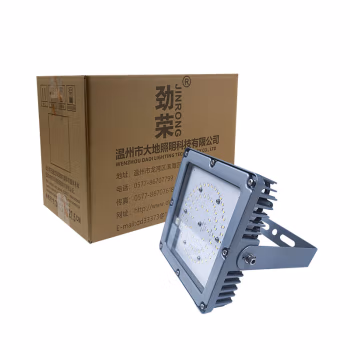 劲荣 NFC9200-C 50W IP65 AC220V/50HZ 5700K LED泛光灯 (计价单位：个) 灰色