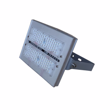 光大特照 GD-EBF209(LQ)-100 LED 100W IP66 AC220V-50Hz 色温5700K 投光灯(轻便型) (计价单位：个) 银色