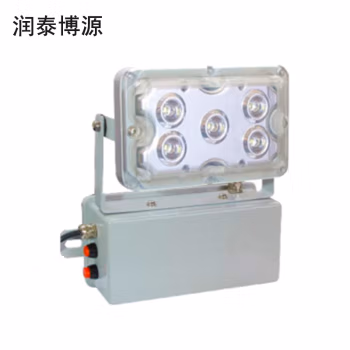 润泰博源 RT292J 15W 5700K AC220V 应急时长8h IP65 LED 应急抢修灯 (计价单位：盏) 灰色