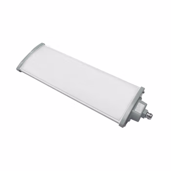 吉特(GT) BG8606-30W-3W 30W-3W IP67 Ex nR IIC T6 Gc 电压AC185~264V LED 色温5000K 灰白色 LED应急款防爆灯 1.00 盏/个 (计价单位：个) 灰白色