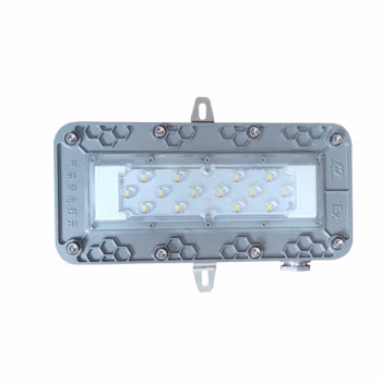 华荣(WAROM) RLEEXL619-XL24B 照明功率24W、防爆等级IIC、电压
等级24-36V、光源颜色/色温5500K左右、光源类型LED 防爆固态照明灯 1.00 盏/套 (计价单位：套) 灰色