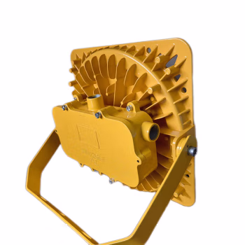 鼎辉照明(DINGHUIZHAOMING) BFDH5185-200W 200W AC220V-240V 5700K 防爆灯 (计价单位：盏) 黄色