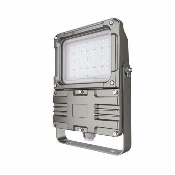 欧辉照明(OHUIZAOMIN) OHBF9193 100W IP66 AC220V 白光/5700K LED LED防爆灯 1.00 盏/套 (计价单位：套) 灰色