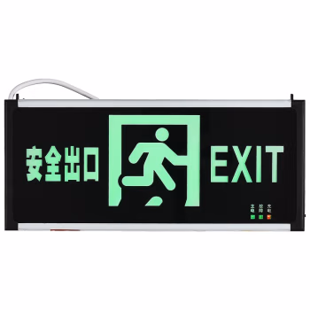 奔冲 BC306（正向）3W IP32 AC220V 6000K 90分钟 安全出口 指示灯 (计价单位：盏) 黑色