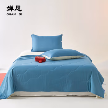 婵思 CVIP230194 150*200cm 薄荷绣花大豆夏被 1.00 件/条 (计价单位：条) 薄荷兰