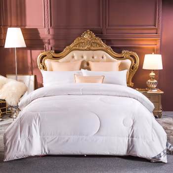 伊伊爱 DB-8YMB-002 倍柔羊毛被 保暖加厚 秋冬被 200*230cm 棉被 (计价单位：件) 白色