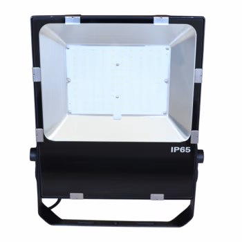 光大特照 GD-EBF207(LQ)-100 100W 100流明 色温2700-6500K LED泛光灯 (计价单位：个) 黑色