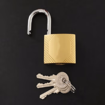 晨潞电子 CLU-S16 30mm 挂锁 (计价单位：个) 黄铜色