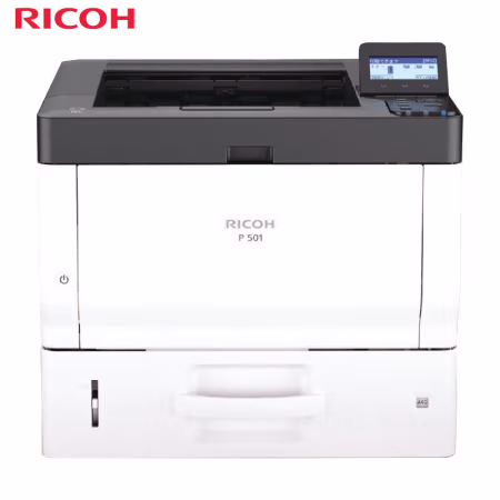 理光(Ricoh) P 501  A4 黑白激光 打印机 (计价单位：台) 白色