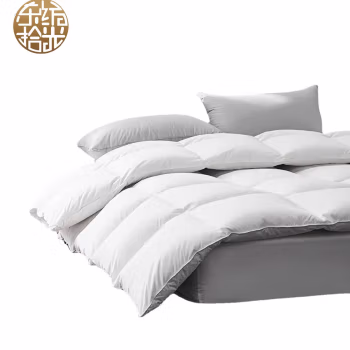 东纺拾光 DF3015 270cm*240cm 被子 1.00 件/条 (计价单位：条) 白色