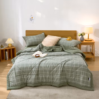 弗切尔珀榕 FCW0220461 220*240cm 纯棉中格系列棉花夏被 1.00 件/条 (计价单位：条) 格韵绿