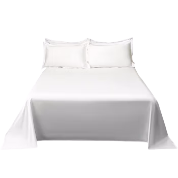 裳心 SXZT-02 全棉白色酒店 床单 1.00 件/条 (计价单位：条) 白色