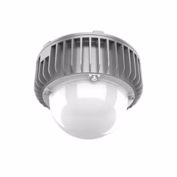 维莱奥斯 X-PTD1001-G（含安装） 50W 5700K IP66 WF2 220V LED平台灯 (计价单位：个) 银色