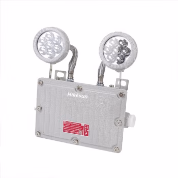 和齐顺(Hikesun) LFBD211 功率3W*2 防护等级IP66 防爆等级Exde IIC T6 Gb 防爆应急灯 1.00 盏/个 (计价单位：个) 灰色