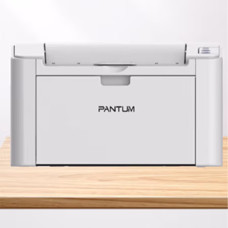 奔图(PANTUM) P2507N 黑白激光单功能打印机 (计价单位：台) 灰白