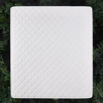 红秀世纺 HXGD006 100*195*5cm 椰棕/乳胶 床垫 1.00 件/个 (计价单位：个) 白色