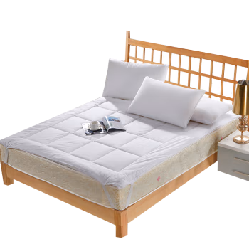 弗切尔珀榕 F0JD210141 /120*200cm 简约舒适床垫 随机色 1.00 件/床 (计价单位：床) 白色