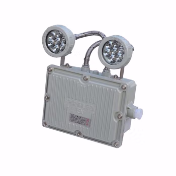 领航电器(LHDQ) LHB1113A 2W ExdⅡBT6 IP65 防爆应急灯 1.00 盏/套 (计价单位：套) 灰色