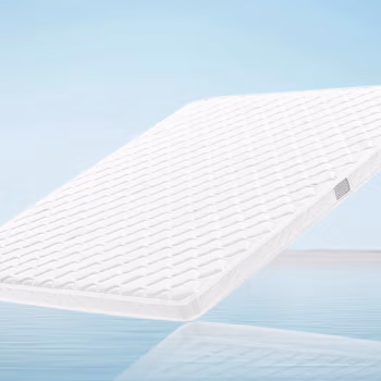 红秀世纺 HXGD008 床垫 120*200*5cm 椰棕/乳胶 床垫 1.00 件/个 (计价单位：个) 白色