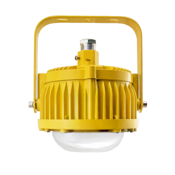 奇辰(QICHEN) QC-FB001-A/L40W 220V 6500K 防爆灯 1.00 盏/个 (计价单位：个) 黄