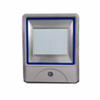 顶火 GMD9103-110W IP66 泛光灯 YFT 户外 LED照明投光场地灯 (计价单位：个) 银灰