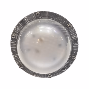 深照紫光 GF9020 70W 防护等级IP66 220V 色温5000K LED泛光灯 (计价单位：个) 黑色